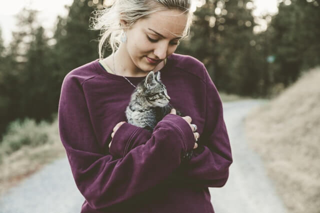 Katze schmust mit Frauchen