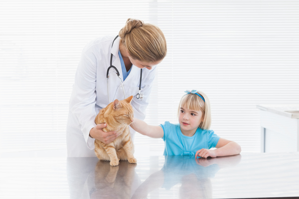 Kind streichelt Katze beim Tierarzt
